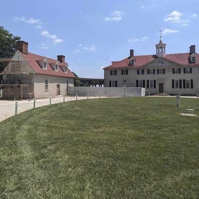No lie: Perfectly preserved centuries-old cherries unearthed at George Washington's Mount Vernon